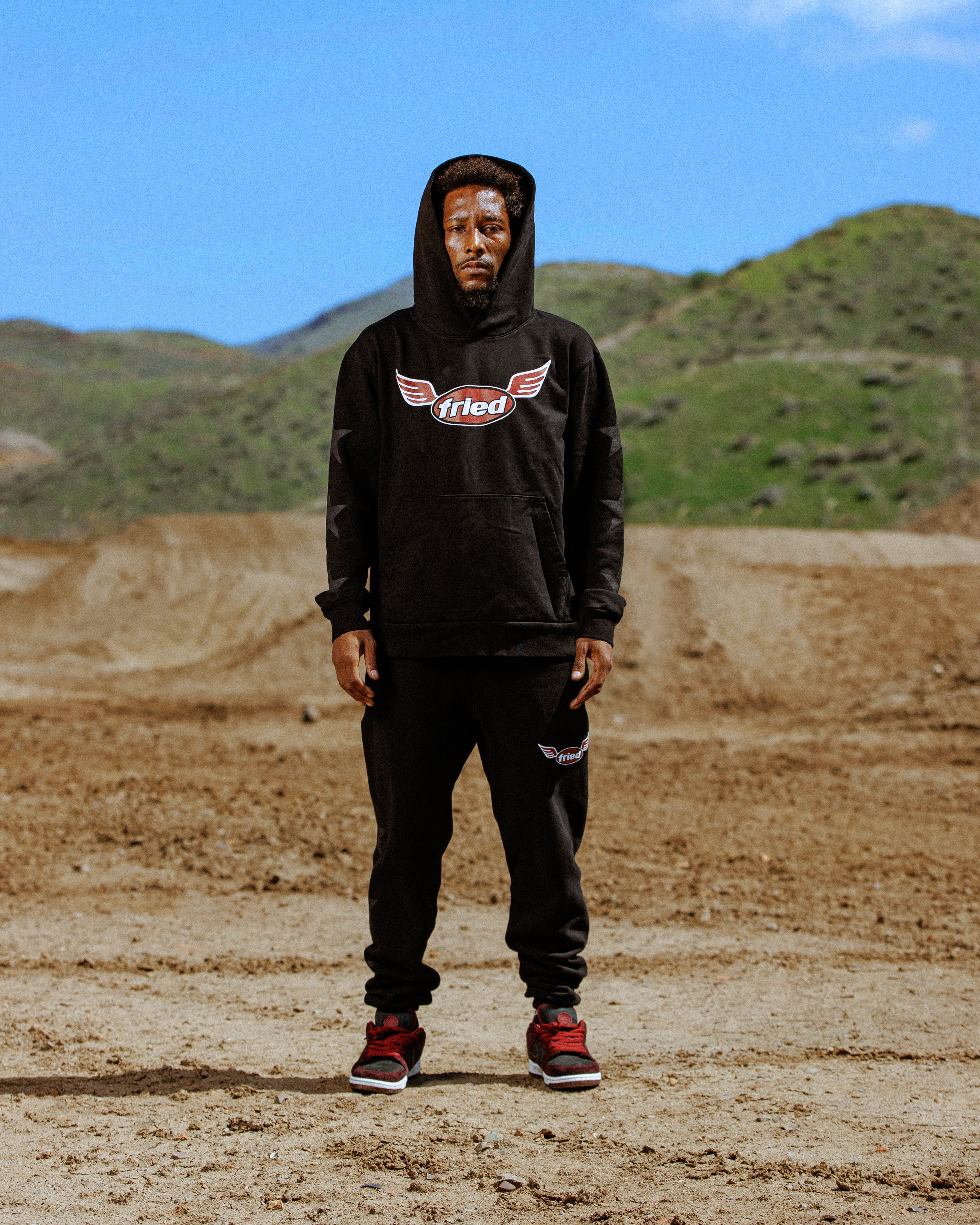 wings hoodie