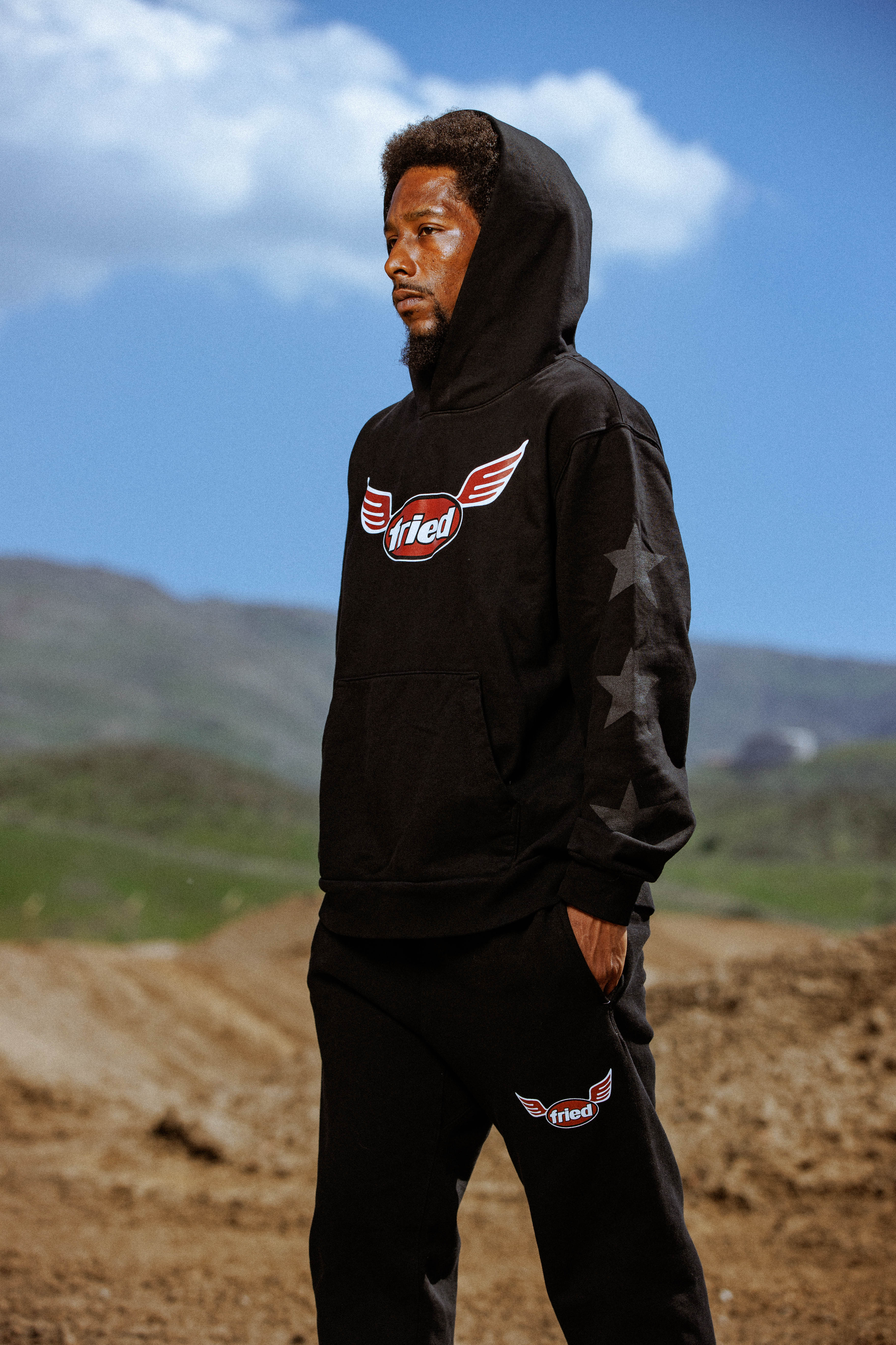 wings hoodie
